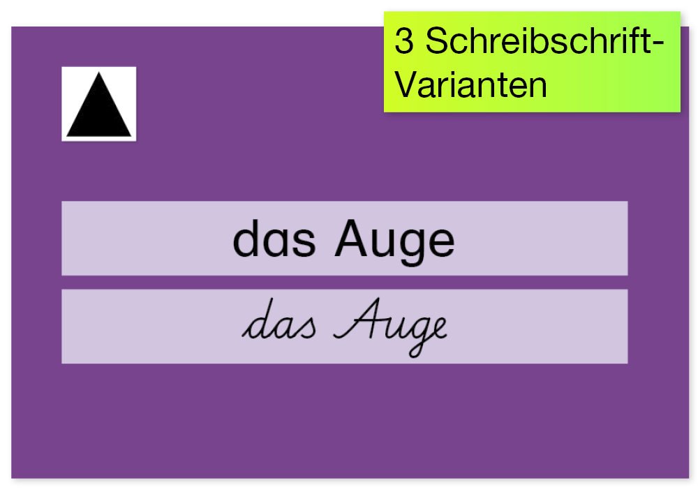 Karteikarten A8 "Meine Wörter-Schatztruhe" - Grundwortschatz LPPlus, 320-tlg.