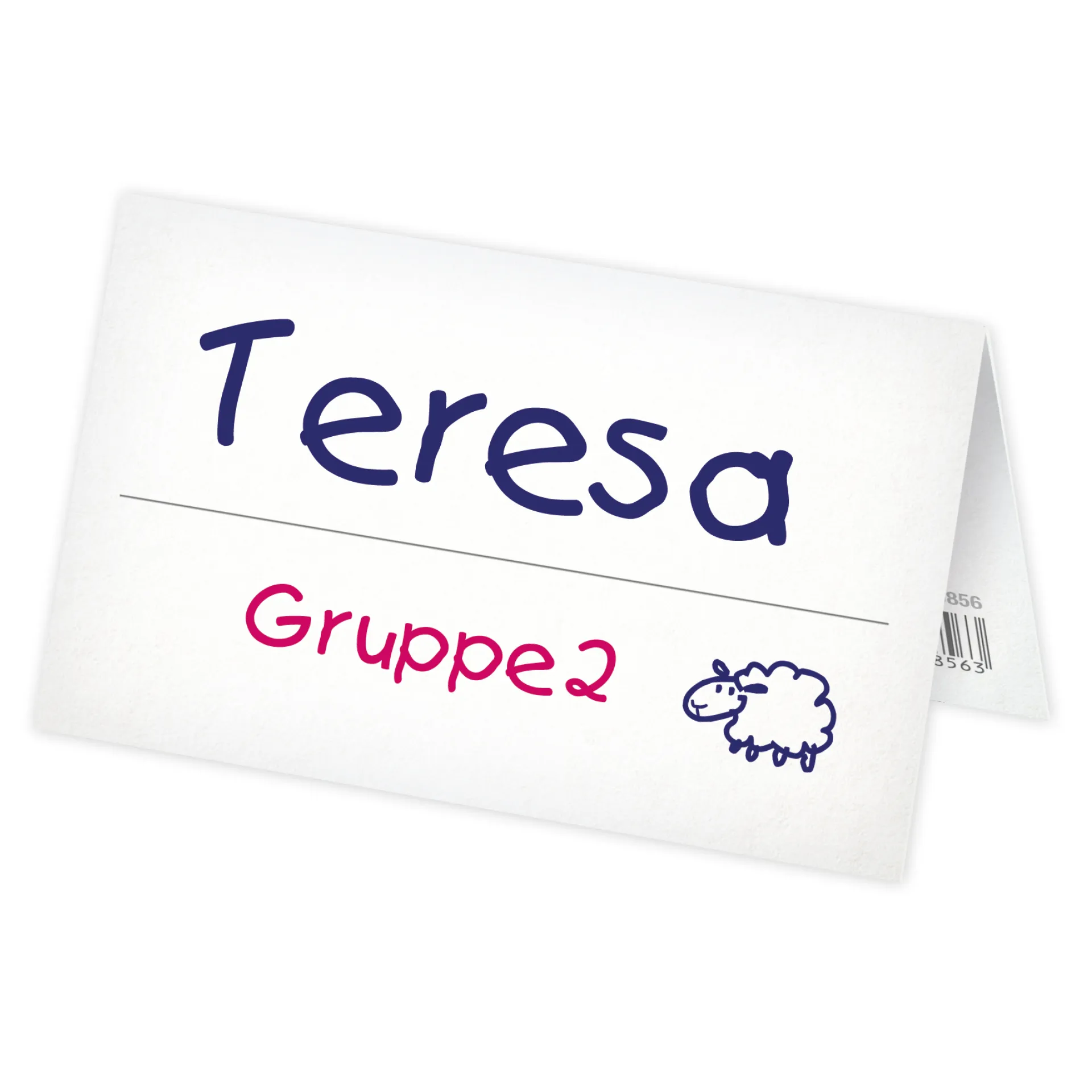 Set Aufstell-Namenskärtchen aus Pappe, 100-tlg.