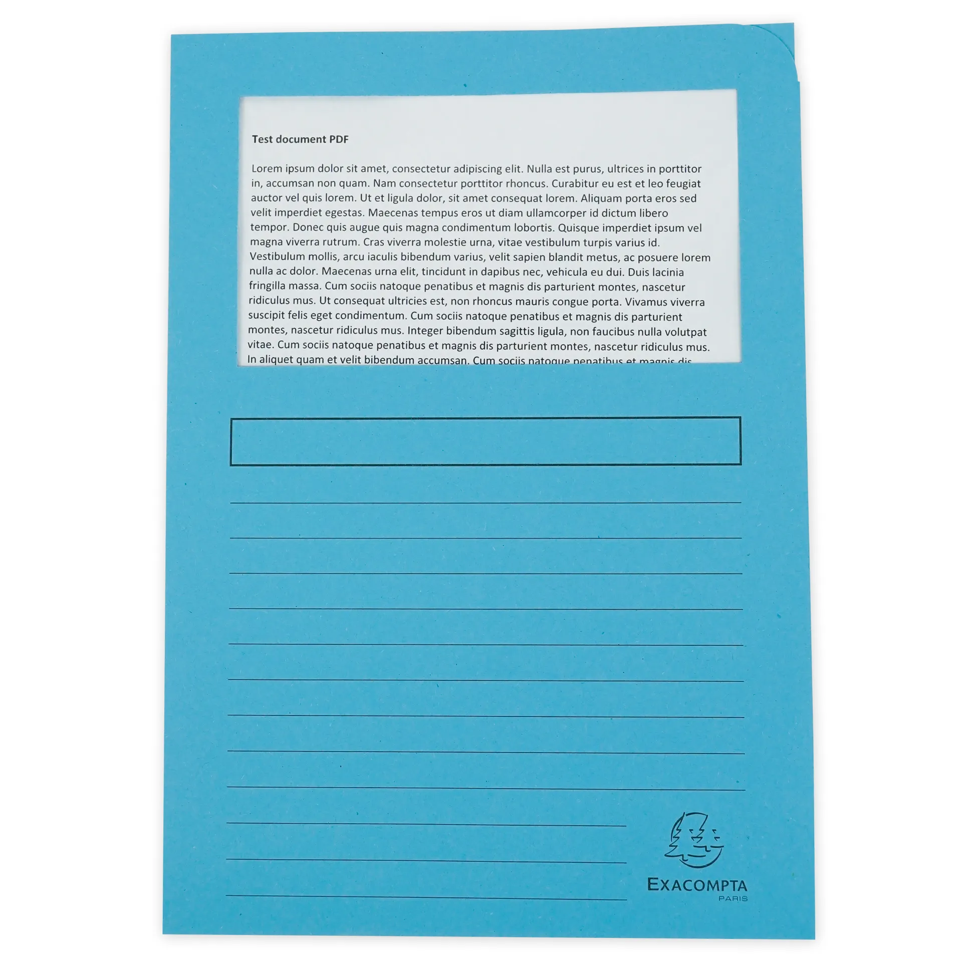 Set Dokumenten-Hüllen aus Pappe A4-Plus, 10 Stück, farbig