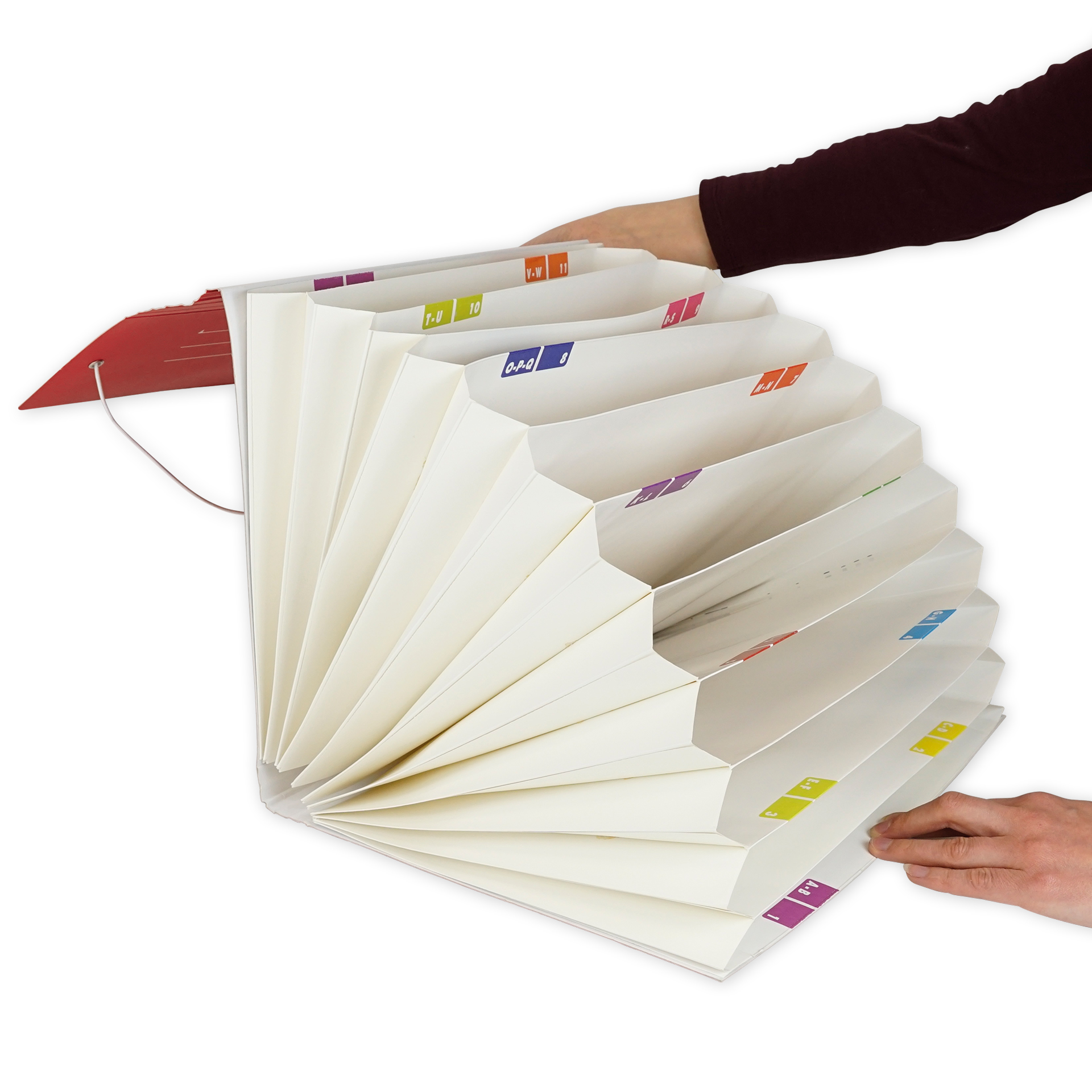 Fächermappe aus Pappe A4-Plus, farbig Fächermappe aus Pappe A4-Plus, farbig