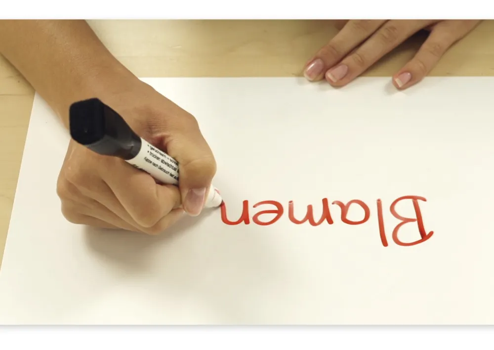 Set 2in1 Whiteboard-Marker mit Filzwischer + Magnet